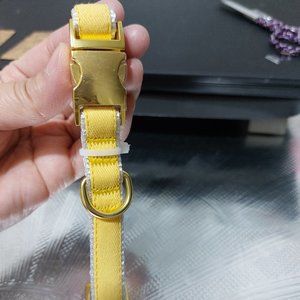 Paw & Tail Dog Collar YELLOW GOLD COLOR PRETTY SHARP